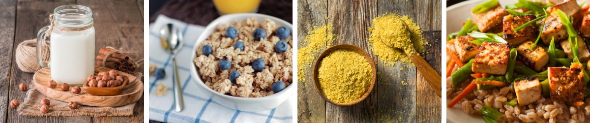 vegan b12