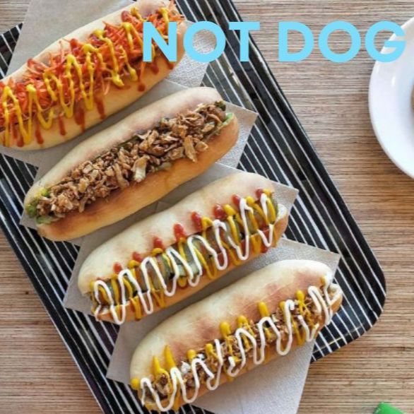 NOT DOG